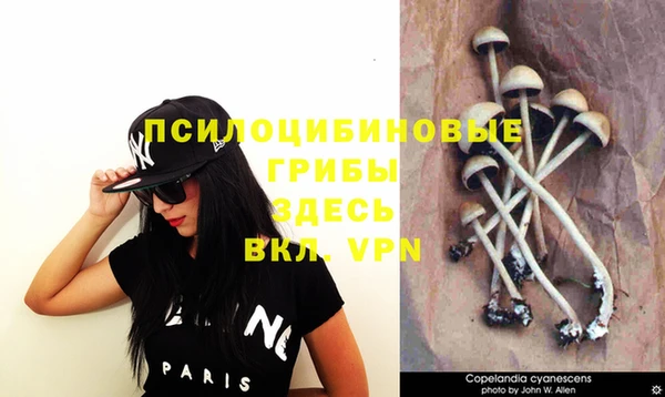 MDMA Premium VHQ Няндома