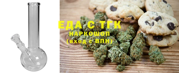 индика Новозыбков